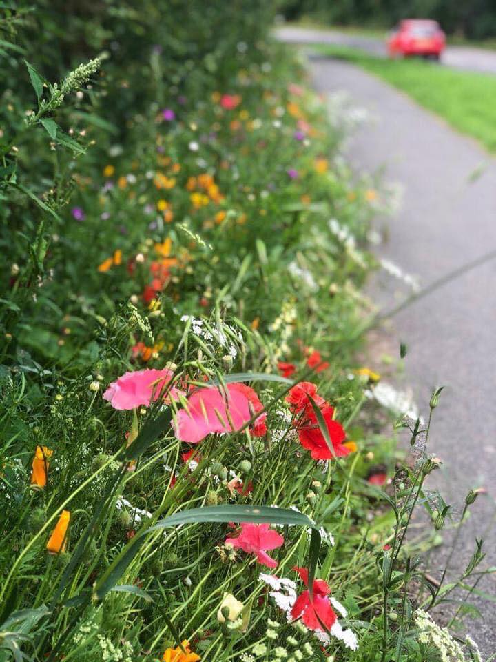 kettering council conservatives local pollinators environment green