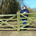 Sue Murray