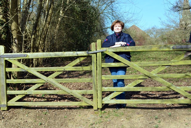 Sue Murray
